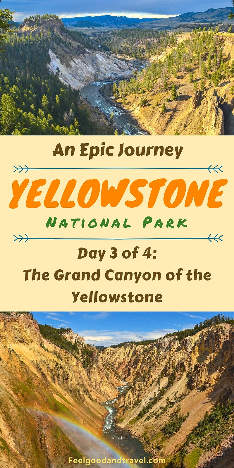 Grand Canyon of the Yellowstone Pin