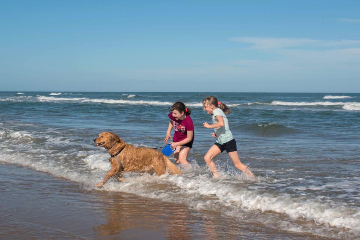 Kids and dog splashing in the water in South Padre Island