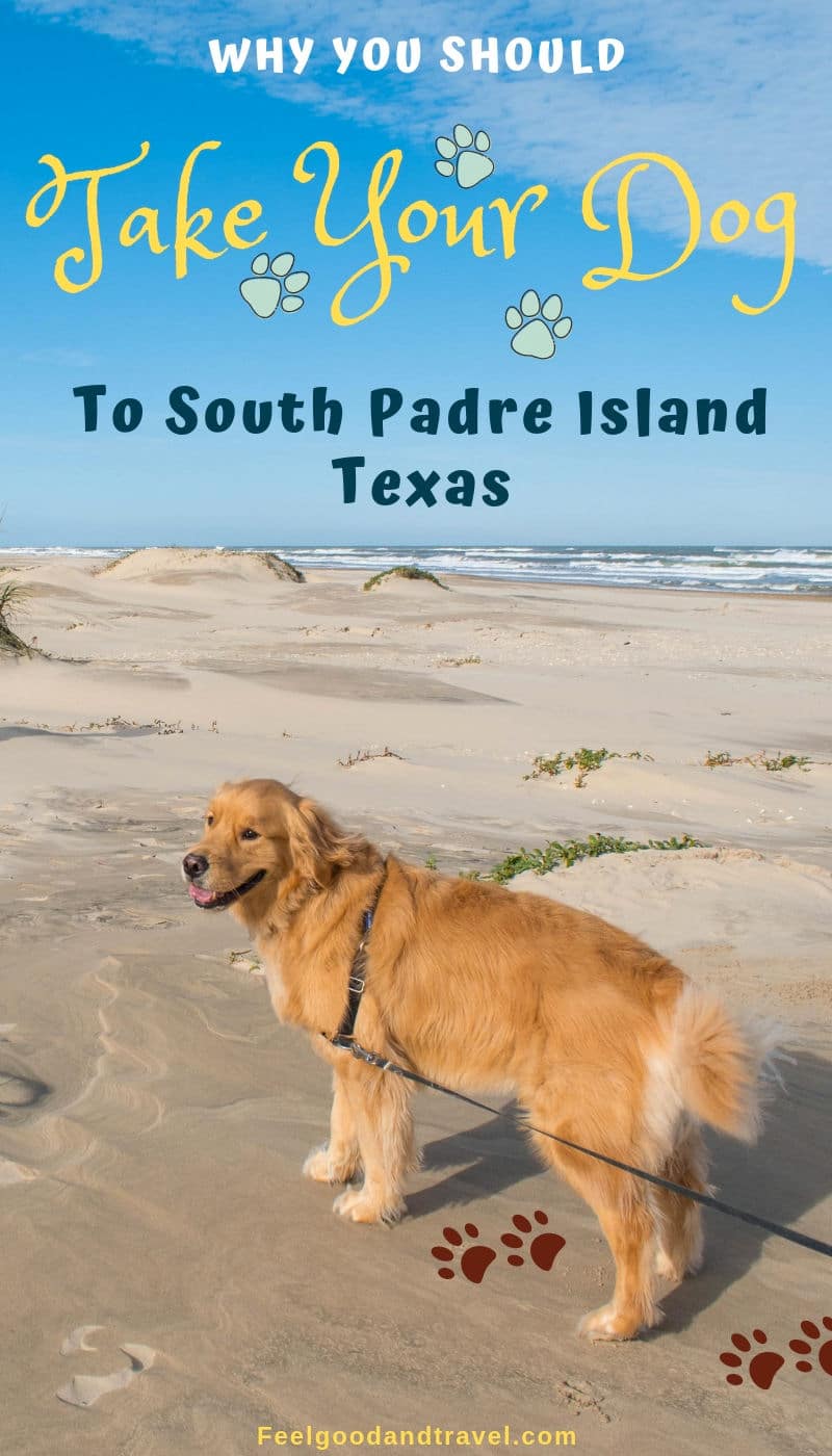 South Padre Island Dog Friendly Pin