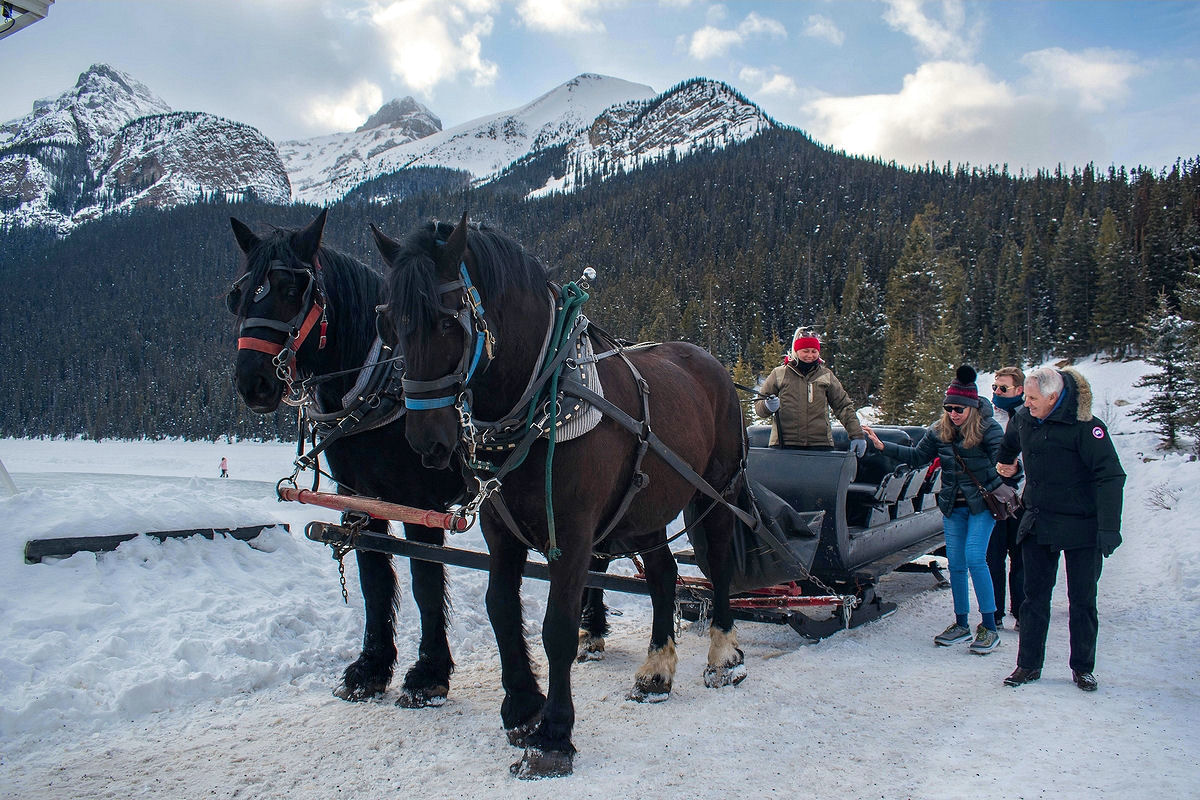 At the end of our sleigh ride near Lake Louise