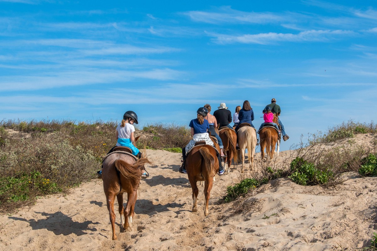 Riding horses in South Padre Island