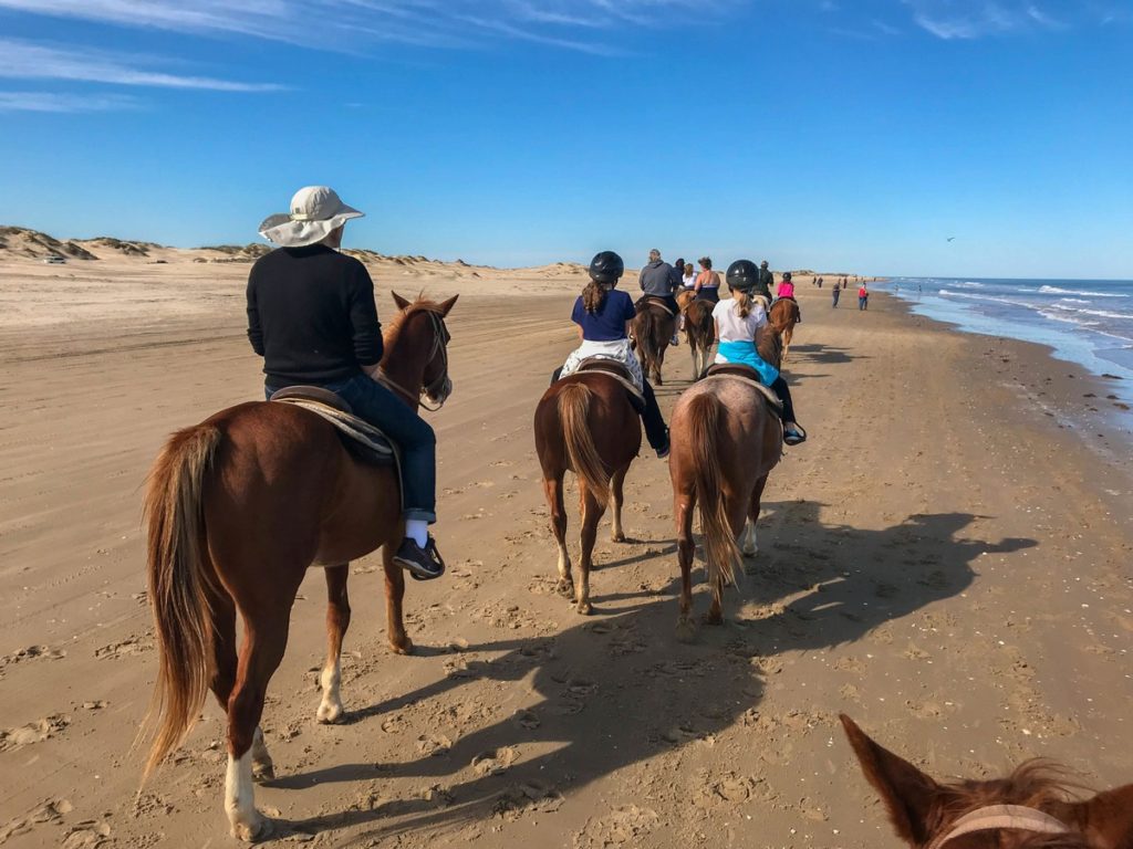 South Padre Island Adventure Park: Fun on the Texas Coast