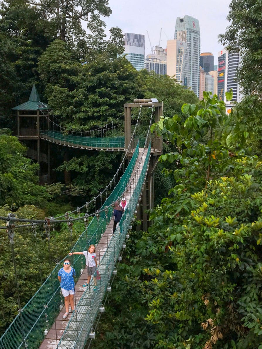 Beautiful Views from the Canopy Walk in KL Forest Eco Park