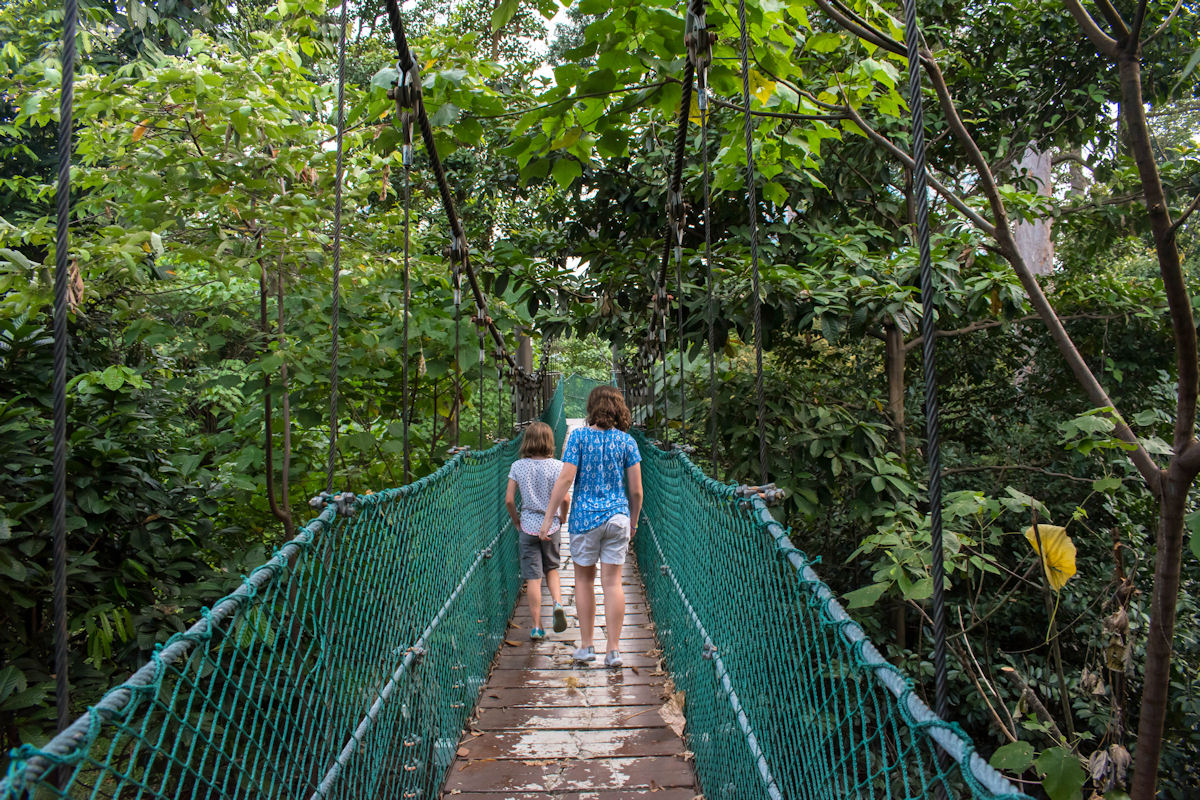Strolling along the Canopy Walk at KL Forest Eco Park