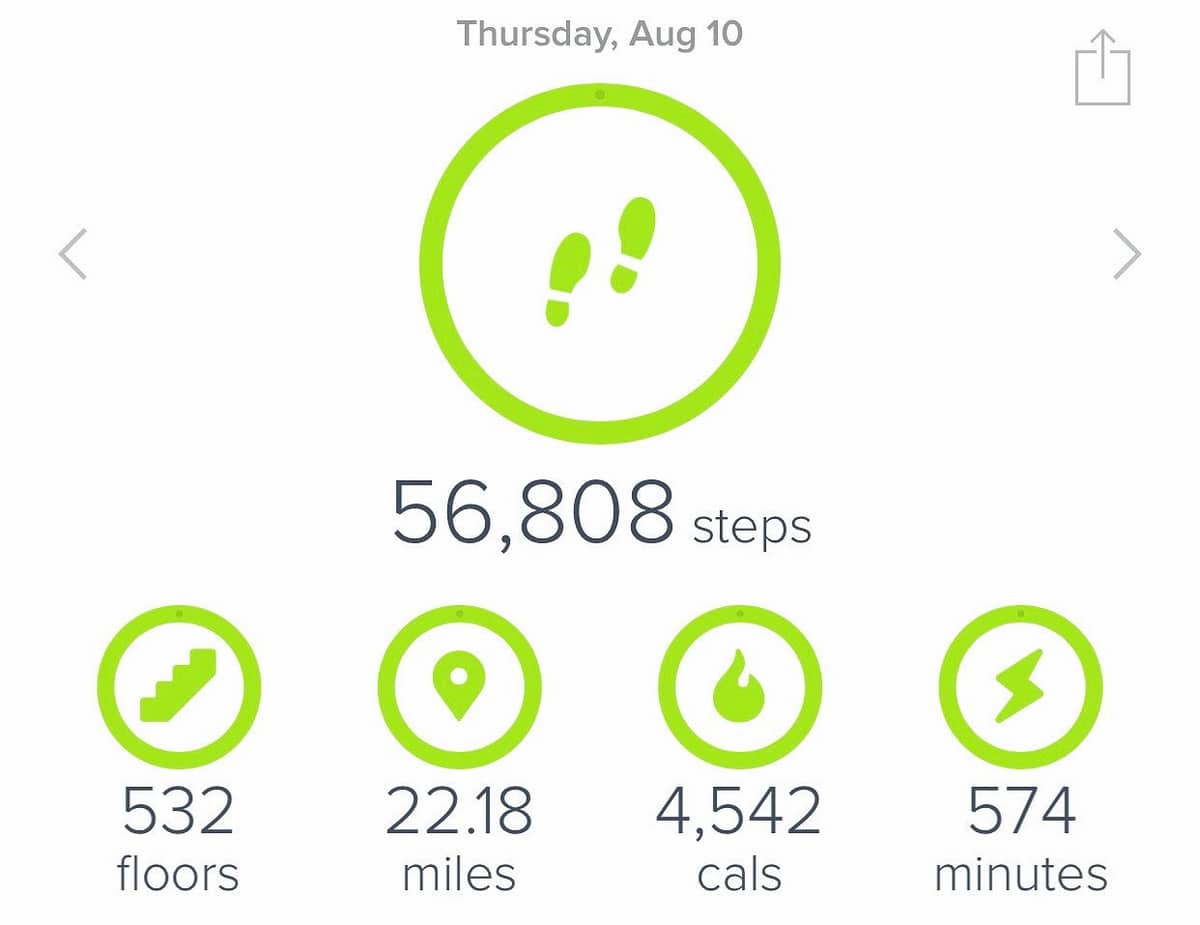 Fitbit stats after climbing Half Dome
