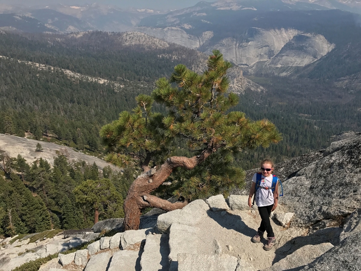 The last tree on the subdome below Half Dome