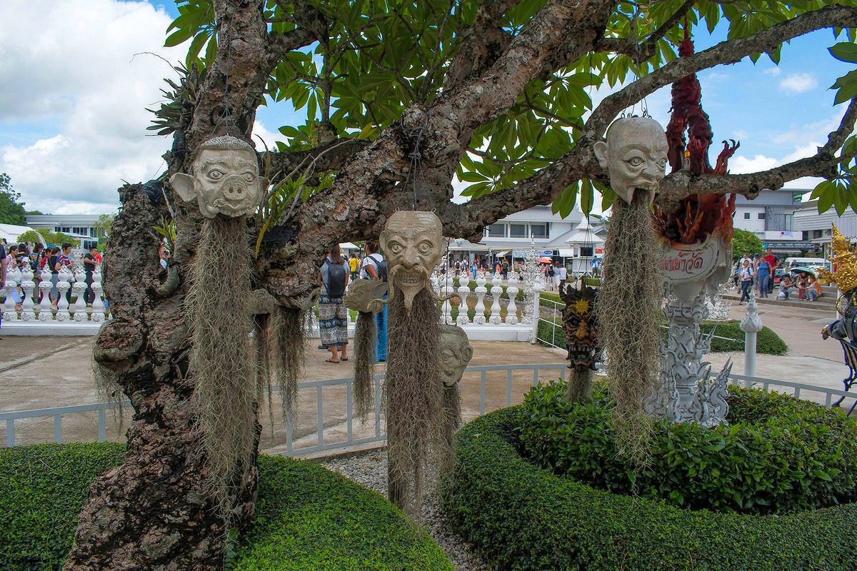 Shrunken heads hanging from a tree near the White Temple