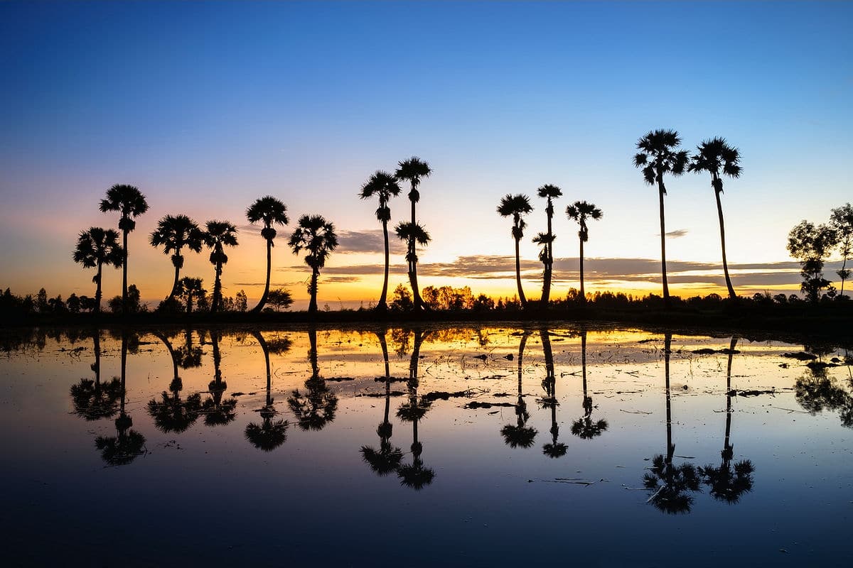 The Mekong Delta near Chau Doc in Vietnam at sunrise