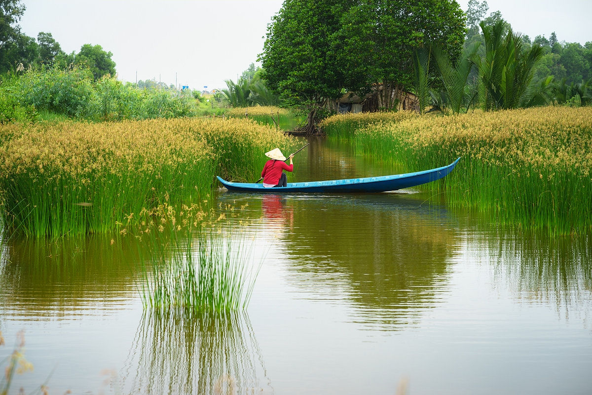 Mekong Delta landscape with a Vietnamese woman on a boat