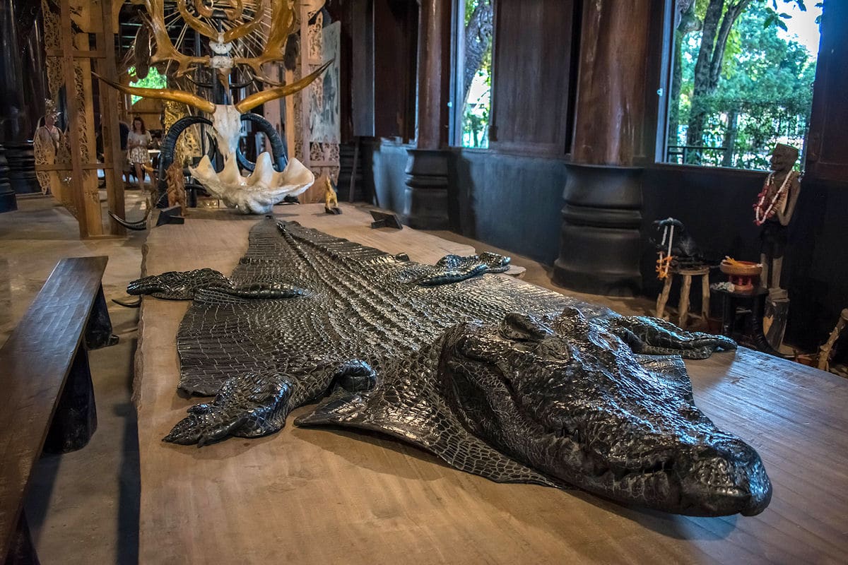 Alligator skin in The Black House in Chiang Rai Thailand