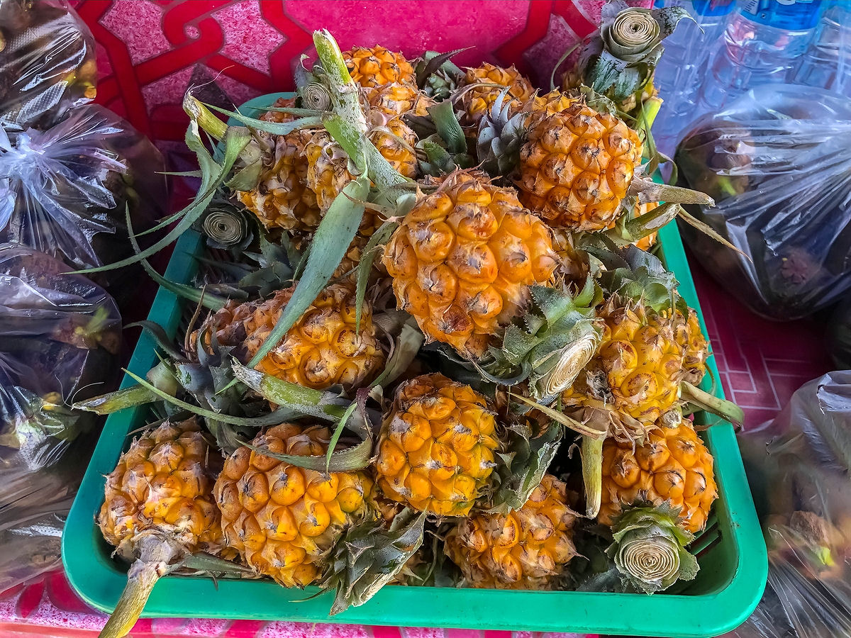 Baby pineapples at a hawker stand at Mae Kachan Hot Springs in Thailand