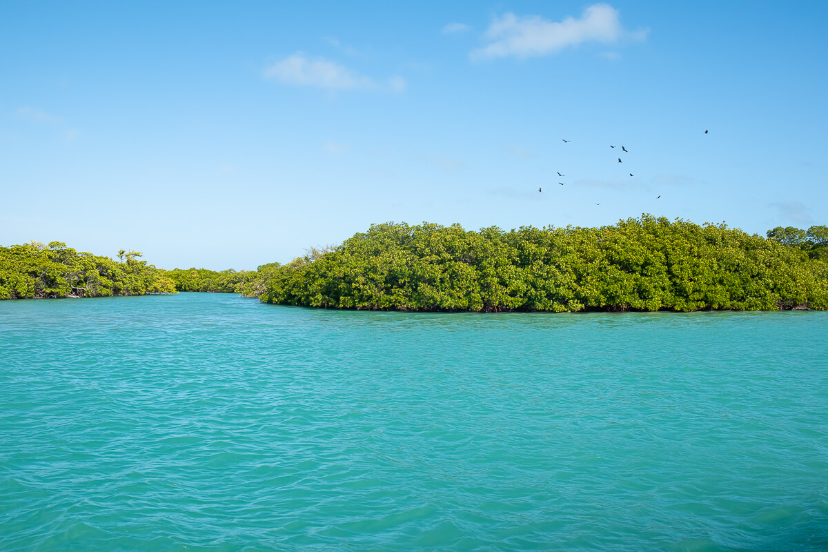 Keys with mangroves and turquoise water at Biscayne National Park