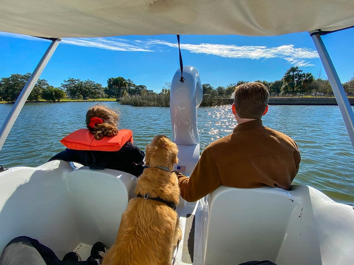 Pedal boat ride with dog in City Park, New Orleans