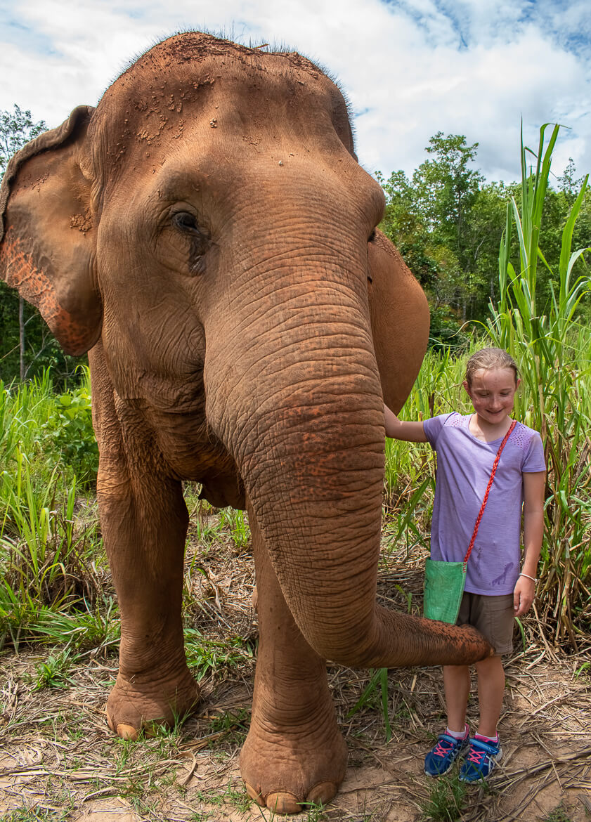 In the company of Kham Noy, the elephant nanny
