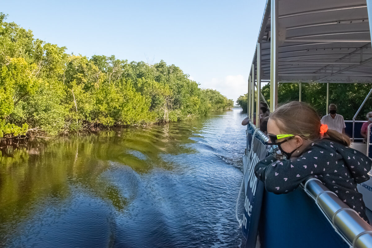 Flamingo Adventures boat ride in Everglades National Park