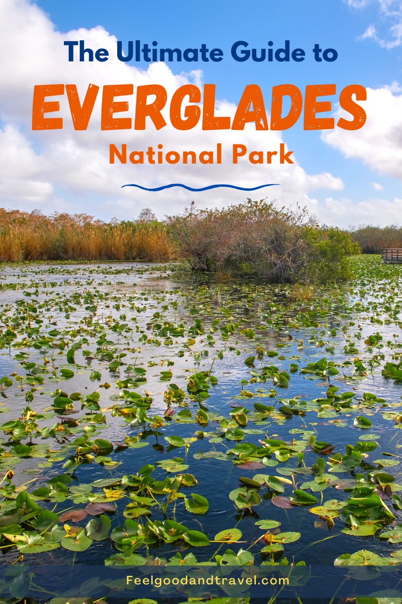 Everglades Pinterest Pin