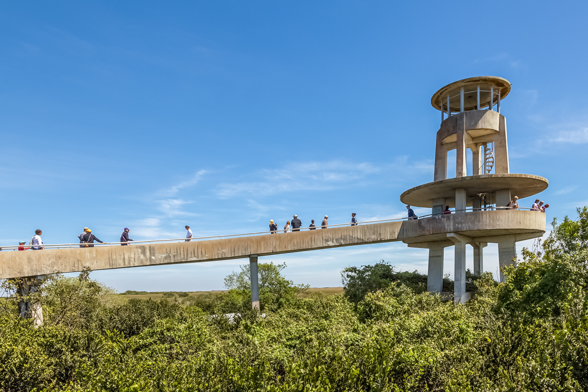 Observation tower in Shark Valley