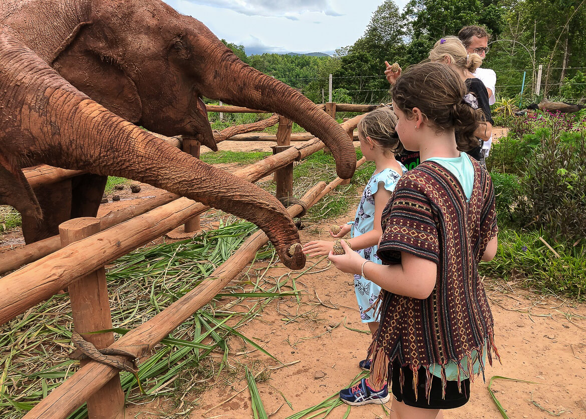 Giving snacks to the elephants at Karen Elephant Serenity, Thailand