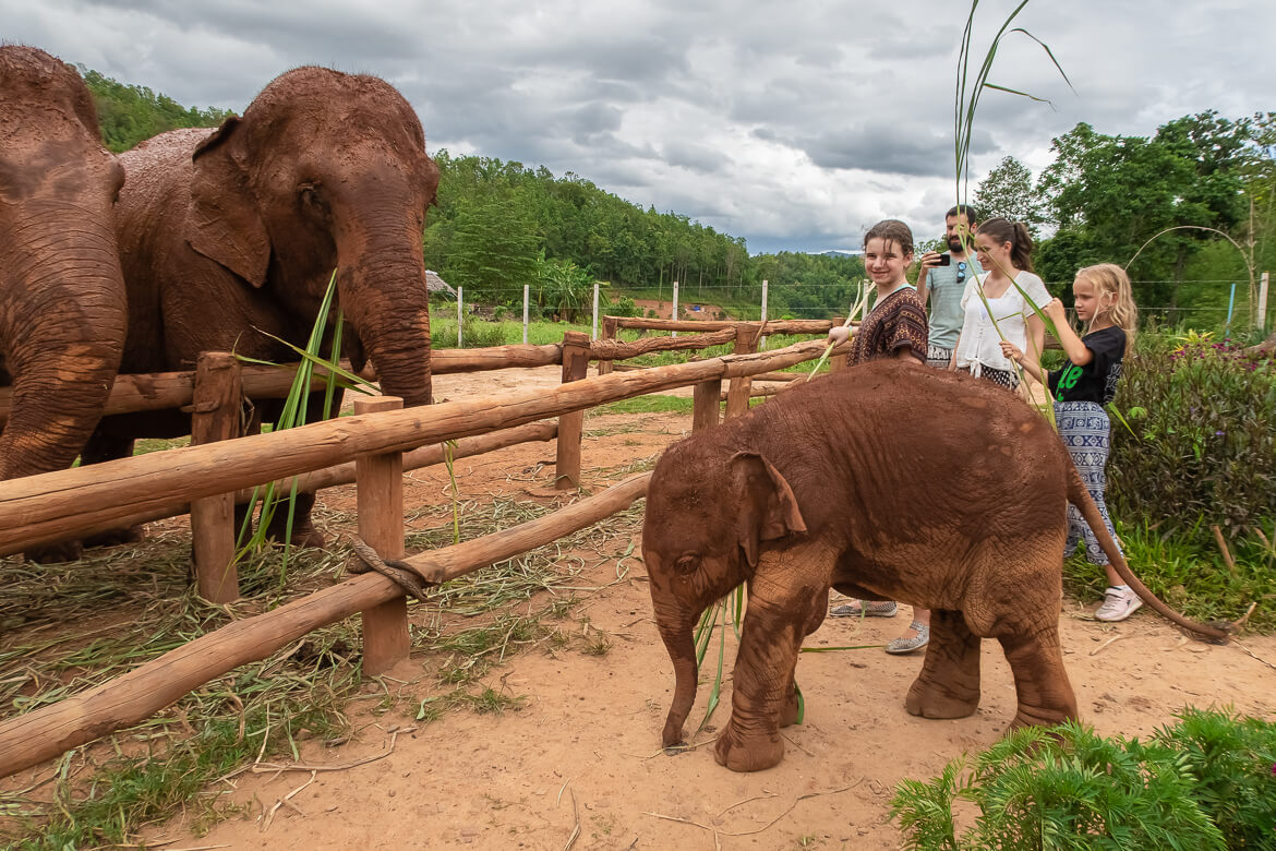 Having fun with the elephants of Karen Elephant Serenity Sanctuary, Thailand