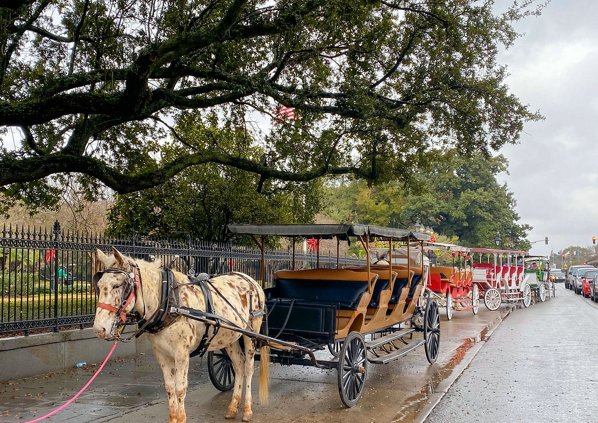 Horse-drawn carriages in front of Jackson Square in New Orleans
