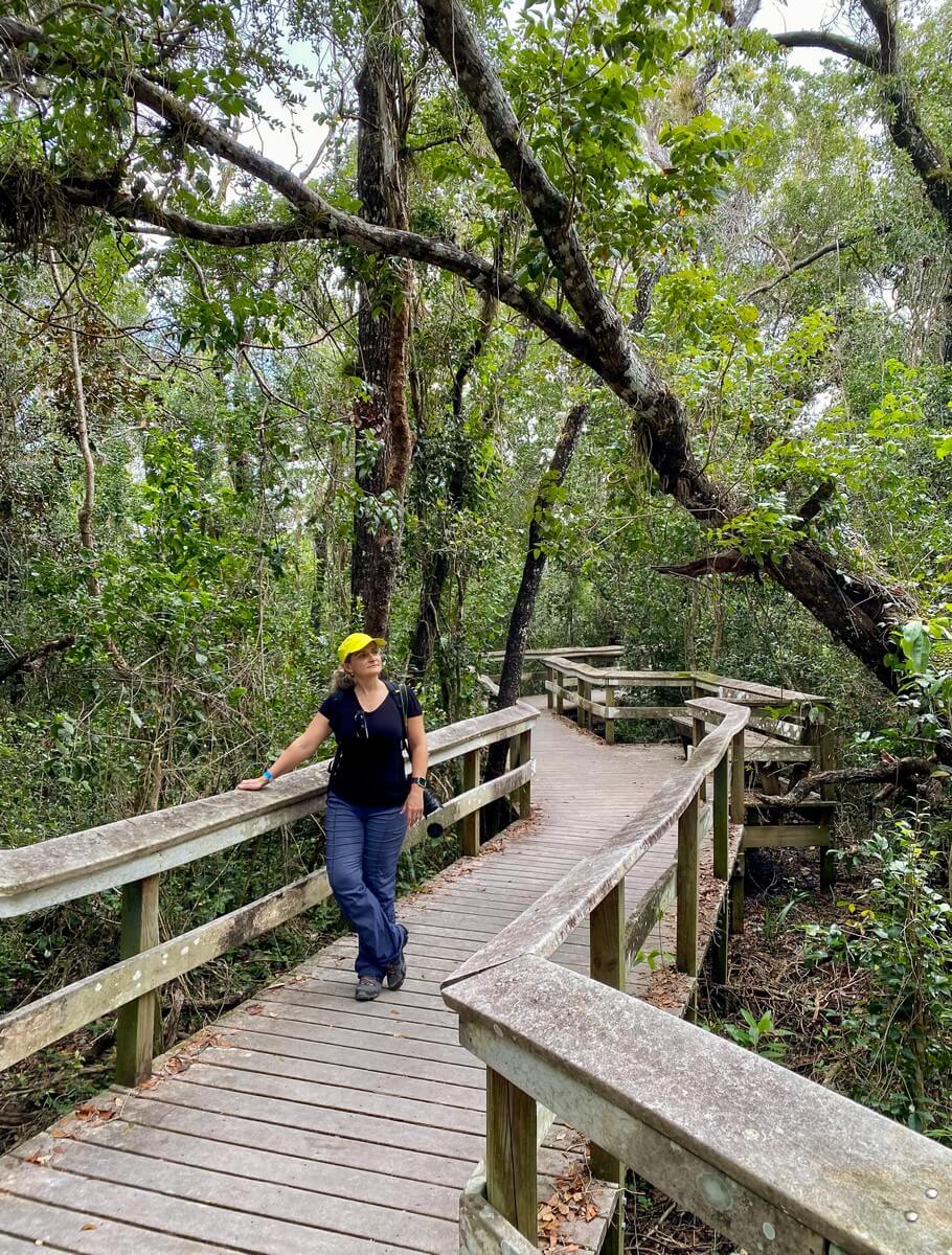 Standing on Mahogany Hammock Trail in Everglades National Park