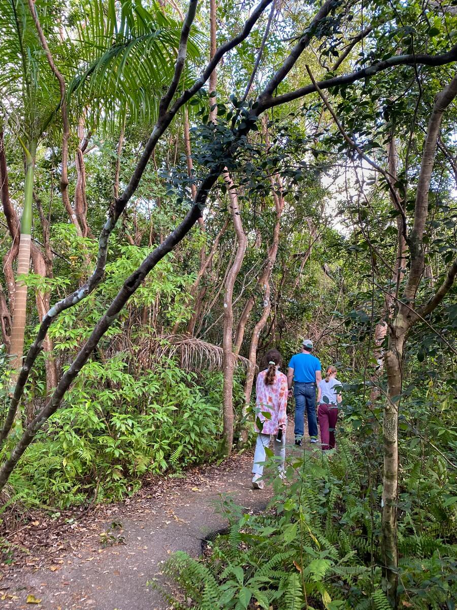 Walking on Gumbo-Limbo Trail