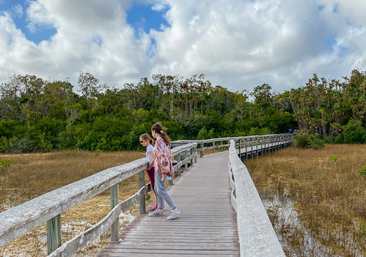 The Best Things To Do In Everglades National Park: Your Ultimate Guide