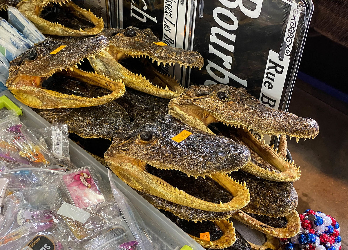 Souvenir alligator heads at the French Market
