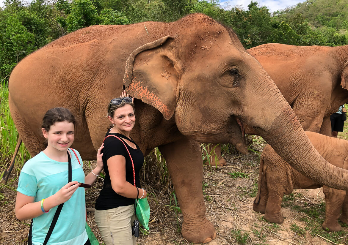 Standing near an Asian elephant at Karen Elephant Serenity in Thailand