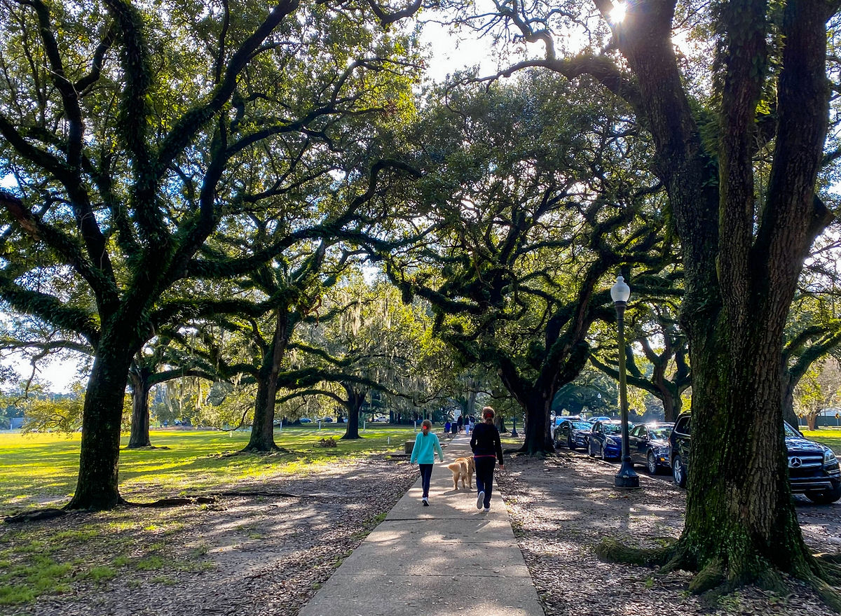Walking in New Orleans City Park