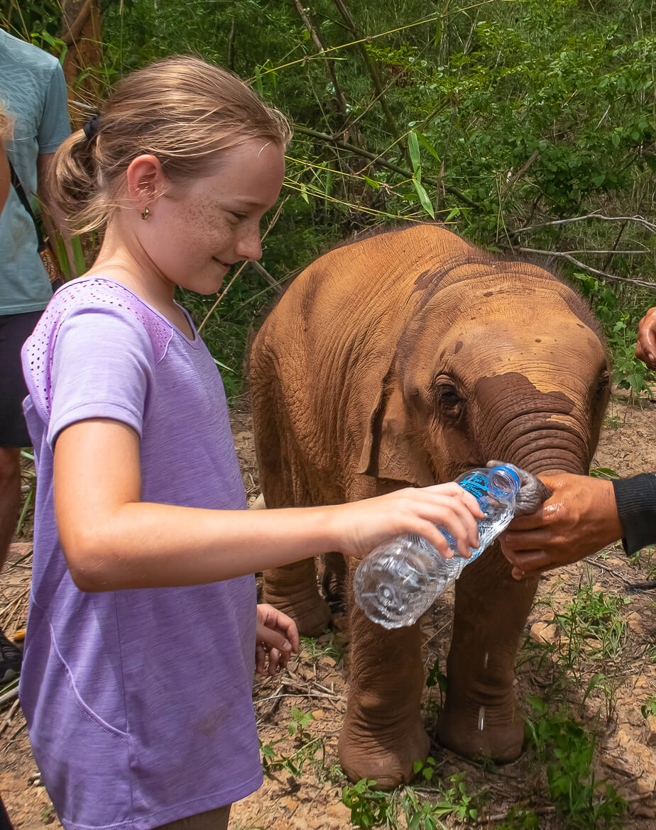 Dani girl giving baby elephant water